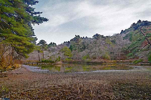 芦屋プラン株式会社七夕（たなばた1 Copilot